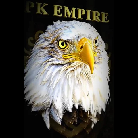 PK Empire logo animation — frame 1